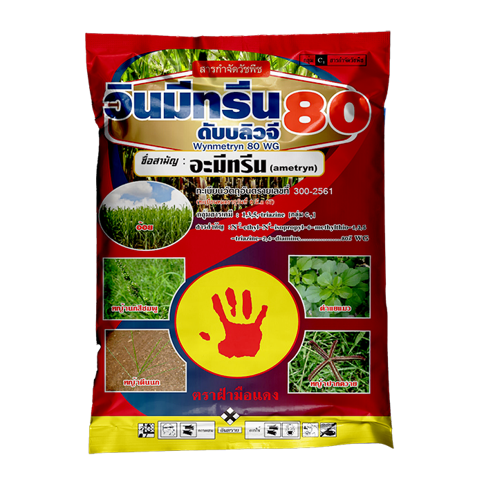 วินมีทรีน 80 ดับบลิวจี 