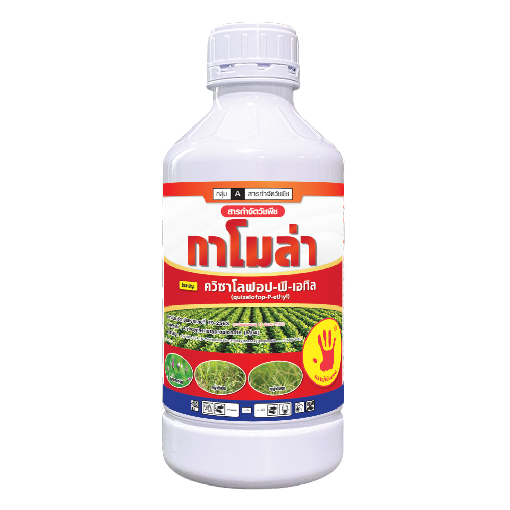 กาโมล่า