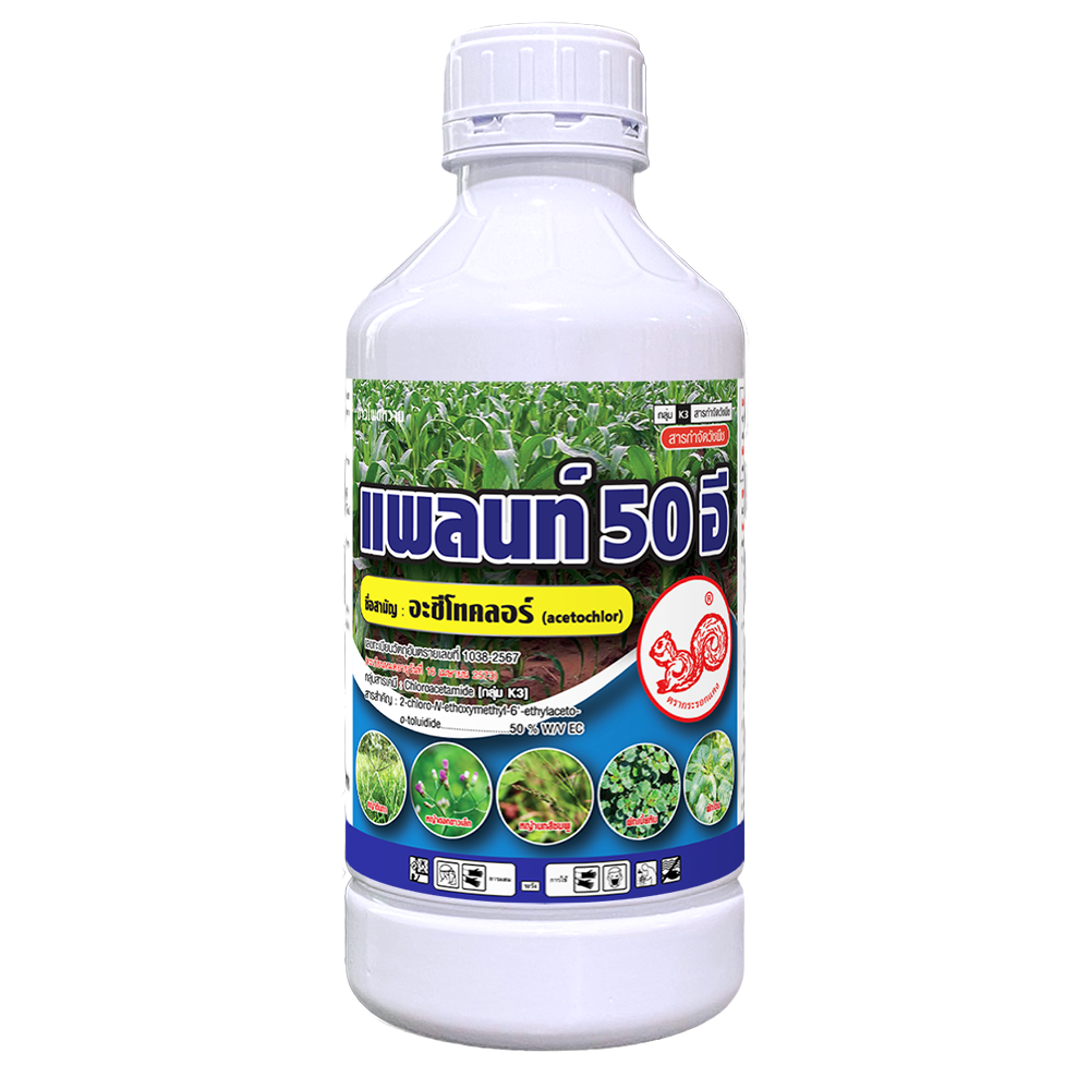 Plant 50 E