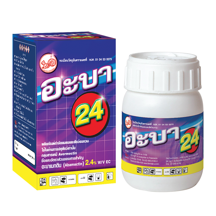 Aba 24