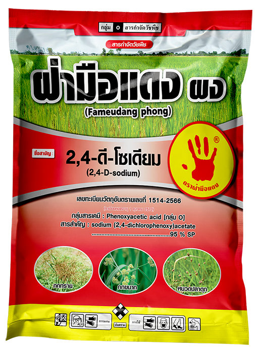 ฝ่ามือแดง ผง