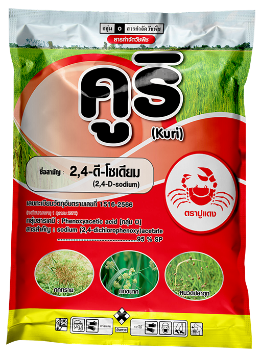 คูริ