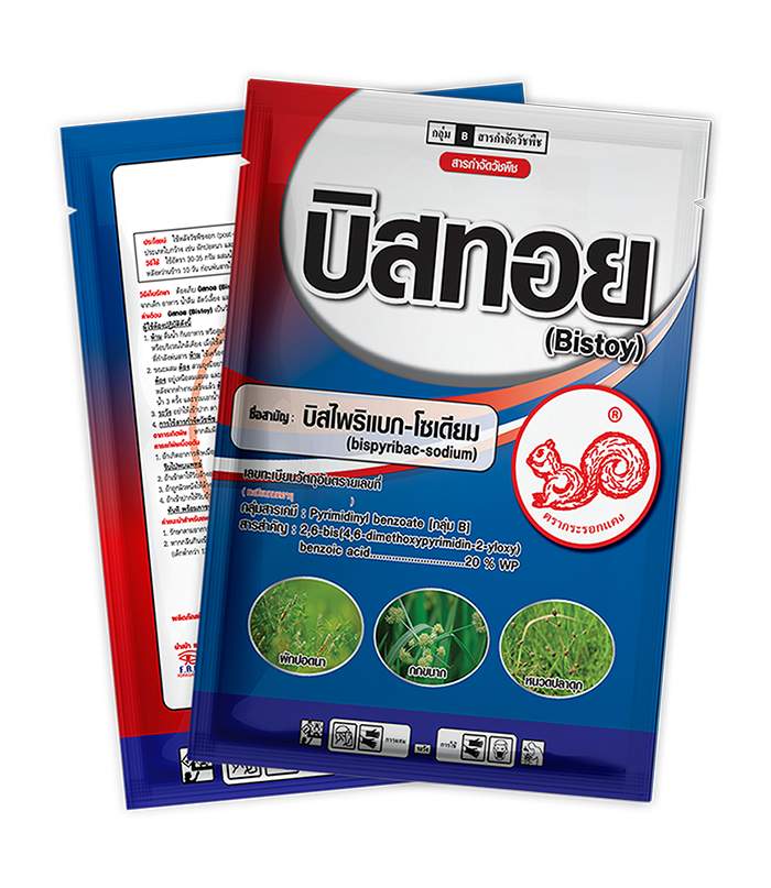 บิสทอย