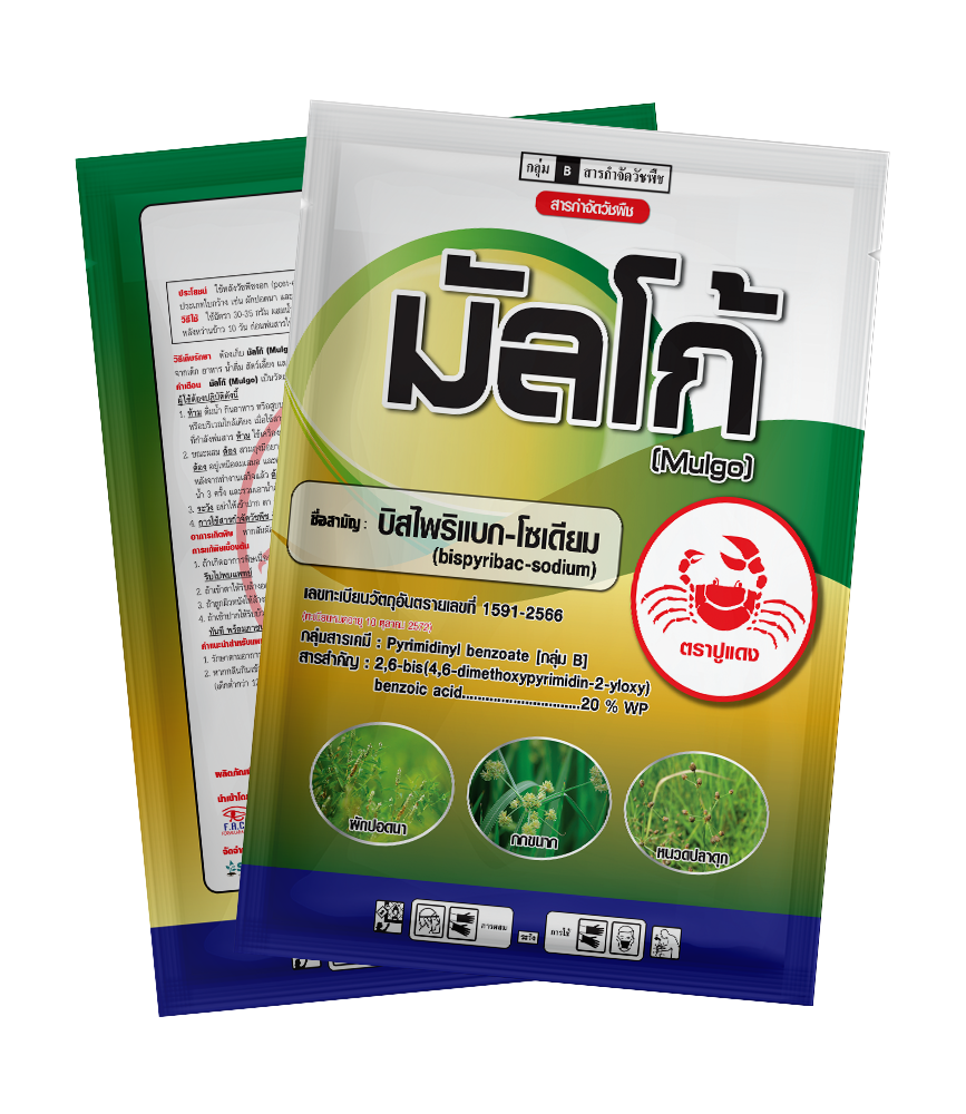 มัลโก้