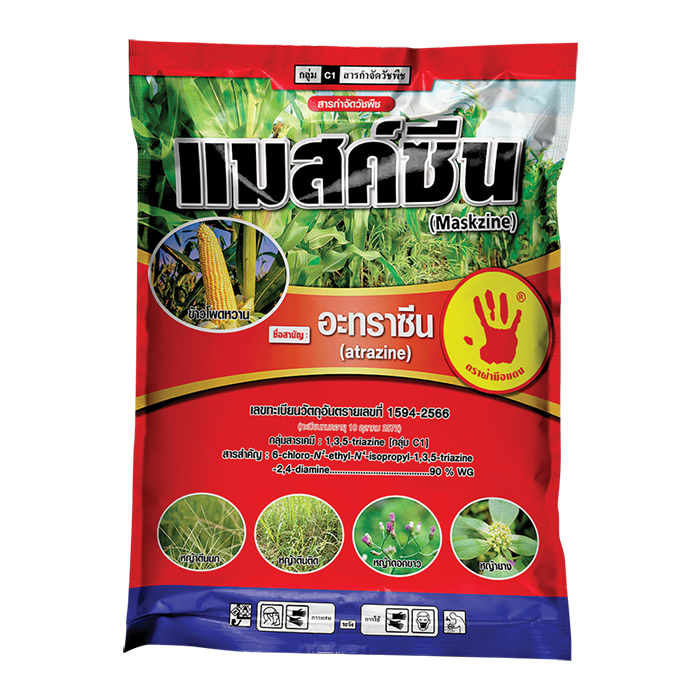 แมสค์ซีน