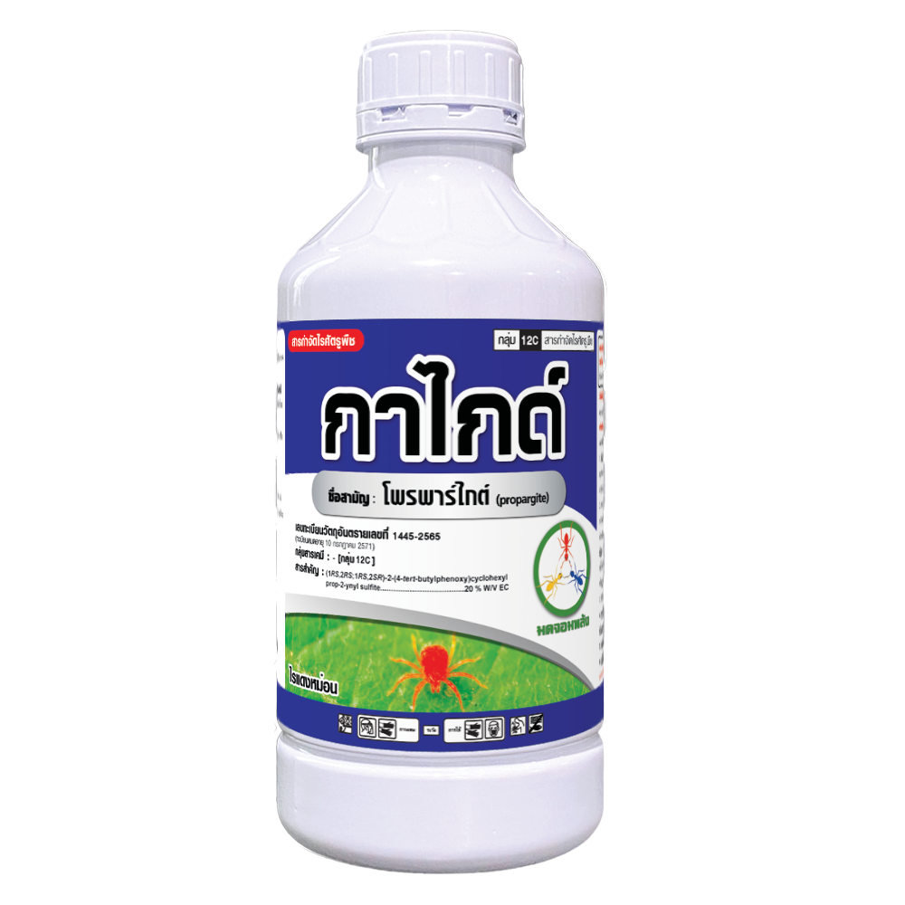 กาไกด์