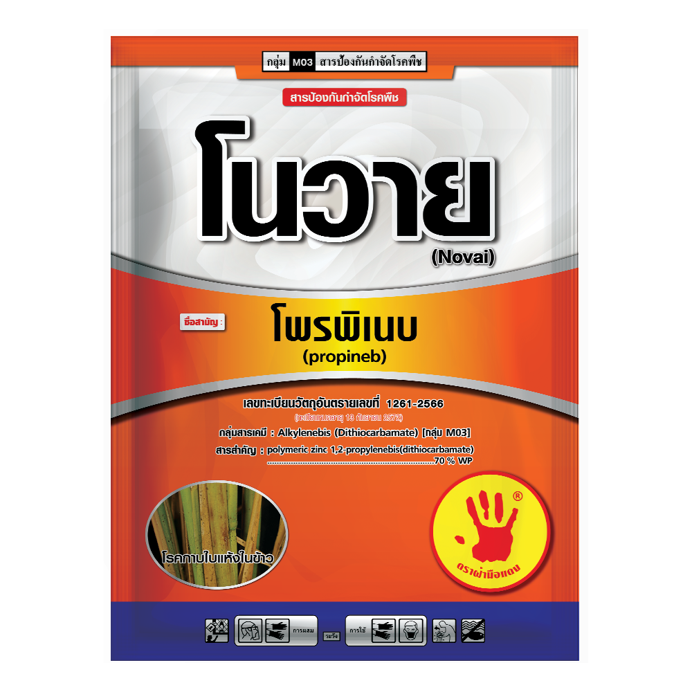 โนวาย
