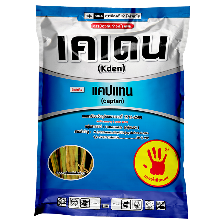 เคเดน