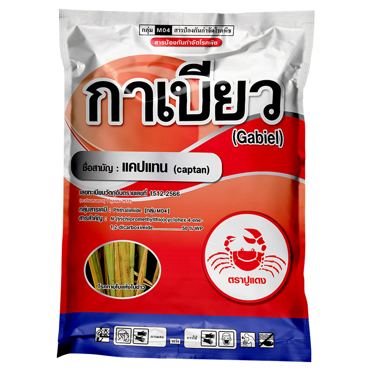 กาเบียว