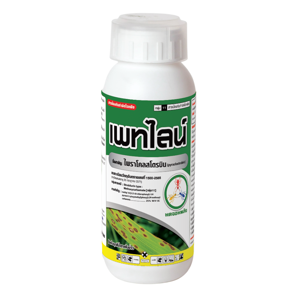เพทไลน์