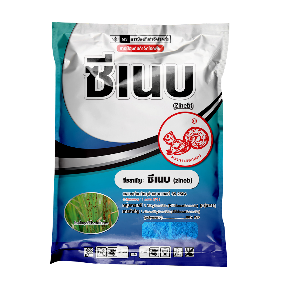 ซีเนบ
