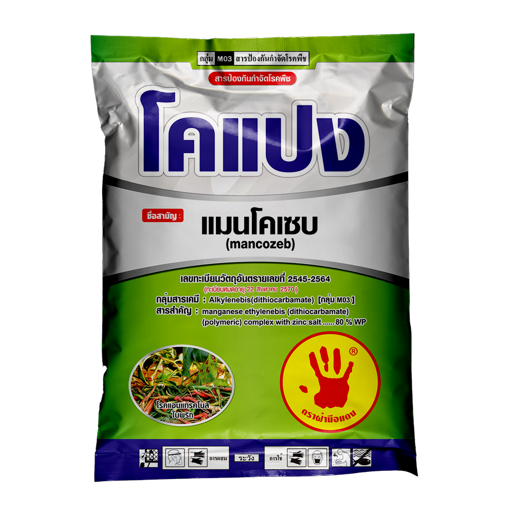 โคแปง