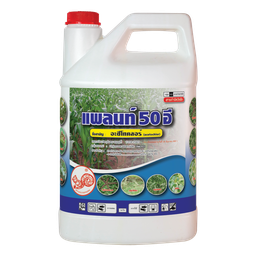 Plant 50 E