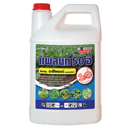 Plant 50 E