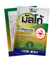 มัลโก้