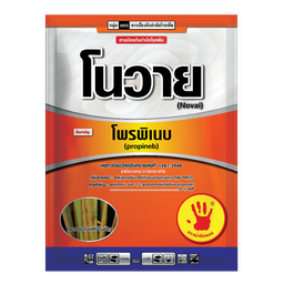 โนวาย