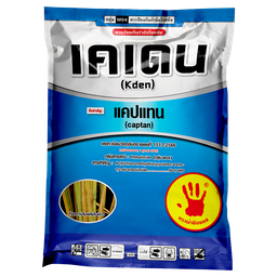 เคเดน