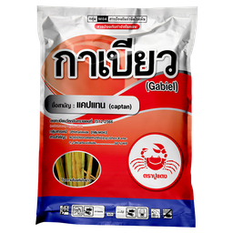 กาเบียว