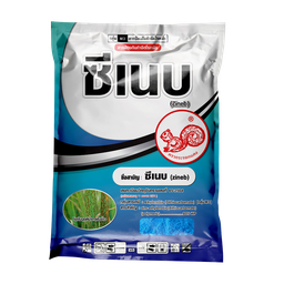ซีเนบ