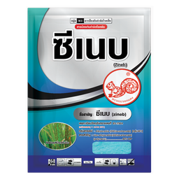 ดาโซล