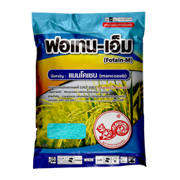 ฟอเทน-เอ็ม