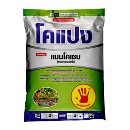 โคแปง
