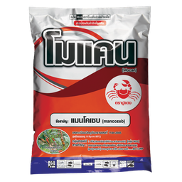 โมเคน