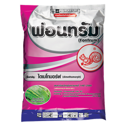 ฟอนทรัม