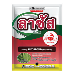 ลาซัส