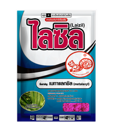 Laizil