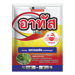 อาทัส