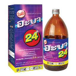 Aba 24