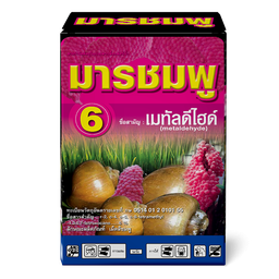 มารชมพู