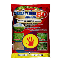 วินมีทรีน 80 ดับบลิวจี 