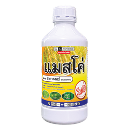 แมสโค่
