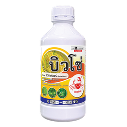 บิวโซ่
