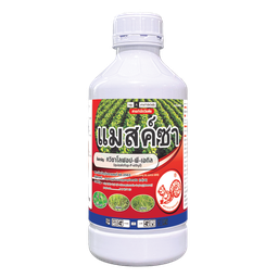 แมสค์ซา