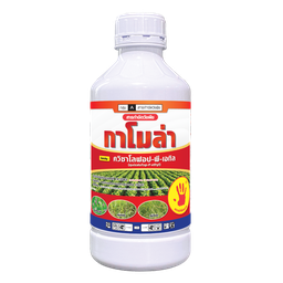 กาโมล่า