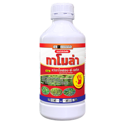 กาโมล่า